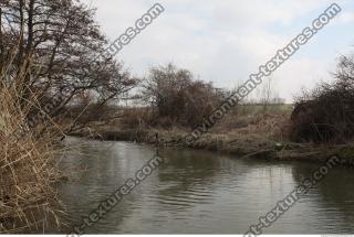 Photo Texture of Background Spring Nature